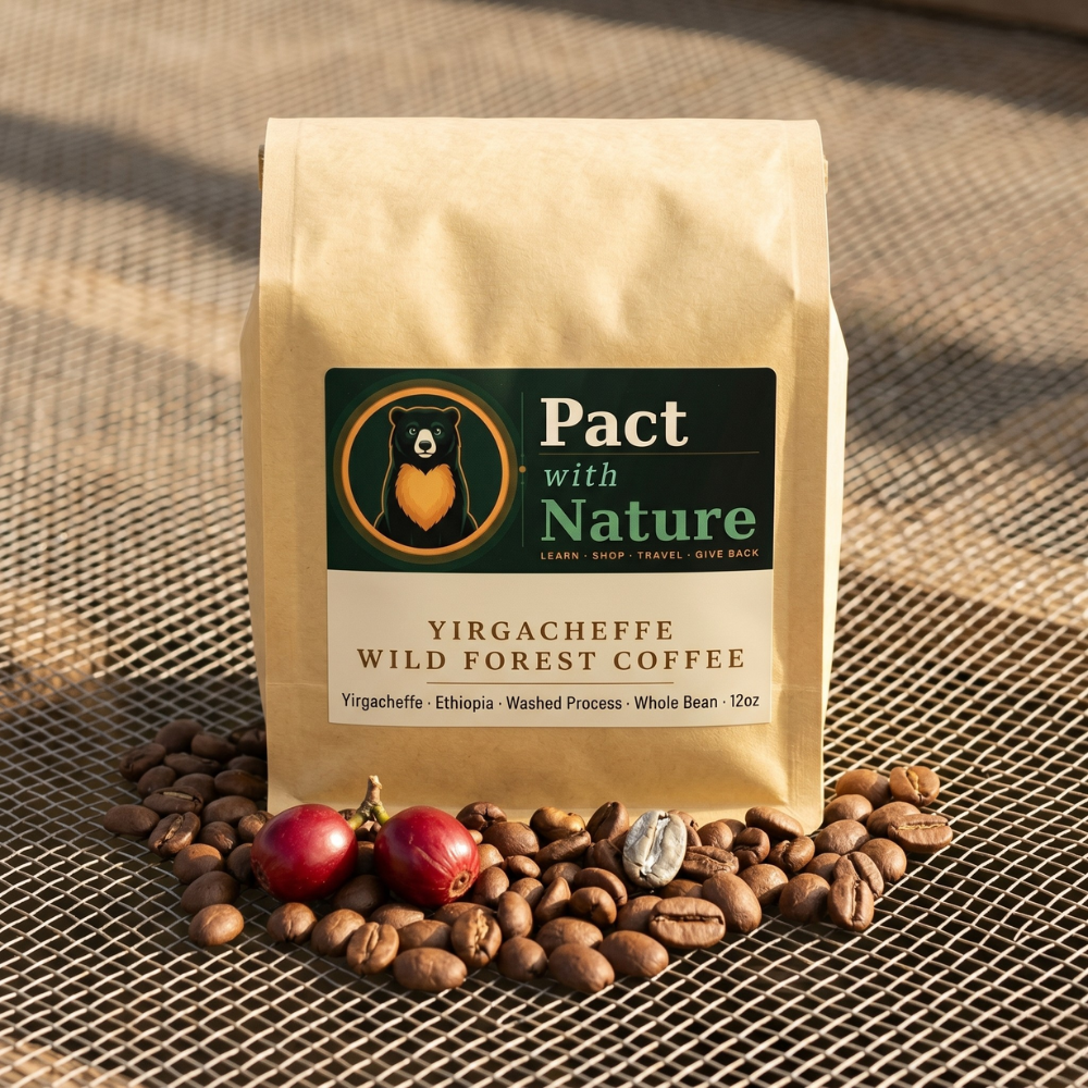 Yirgacheffe Wild Forest Coffee